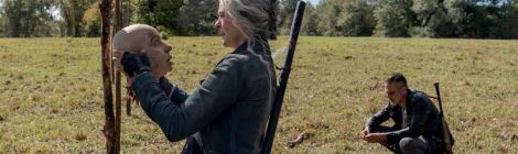 Review The Walking Dead: Look at the Flowers