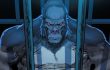 The People vs Gorilla Grodd será la nueva serie de DC Studios