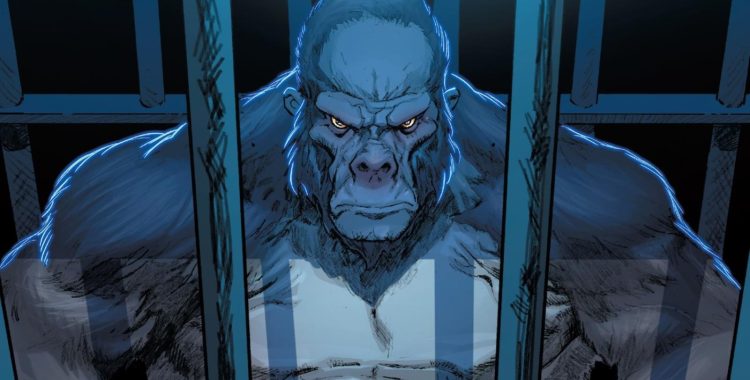 The People vs Gorilla Grodd será la nueva serie de DC Studios